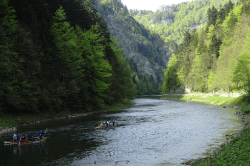 Rafting down the Dunajec River 